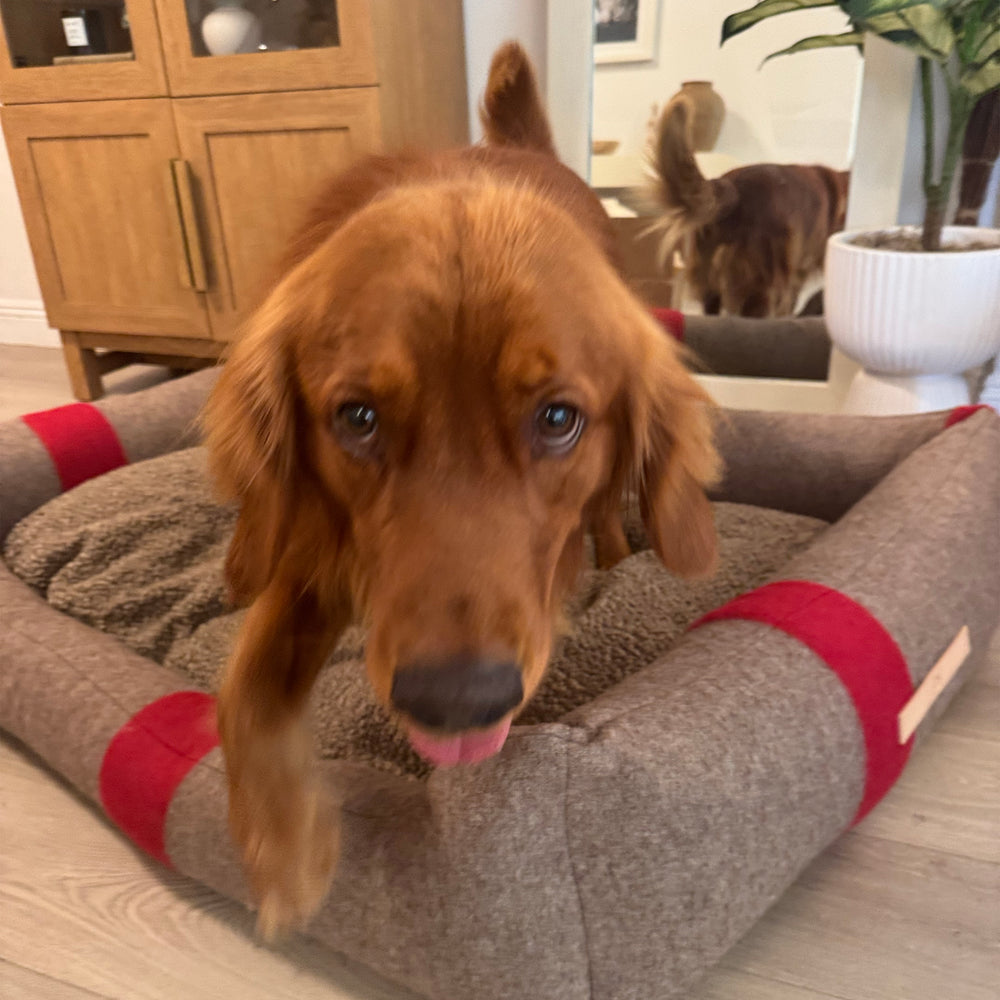 Henri Recycled Wool Dog Bed
