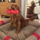 Henri Recycled Wool Dog Bed