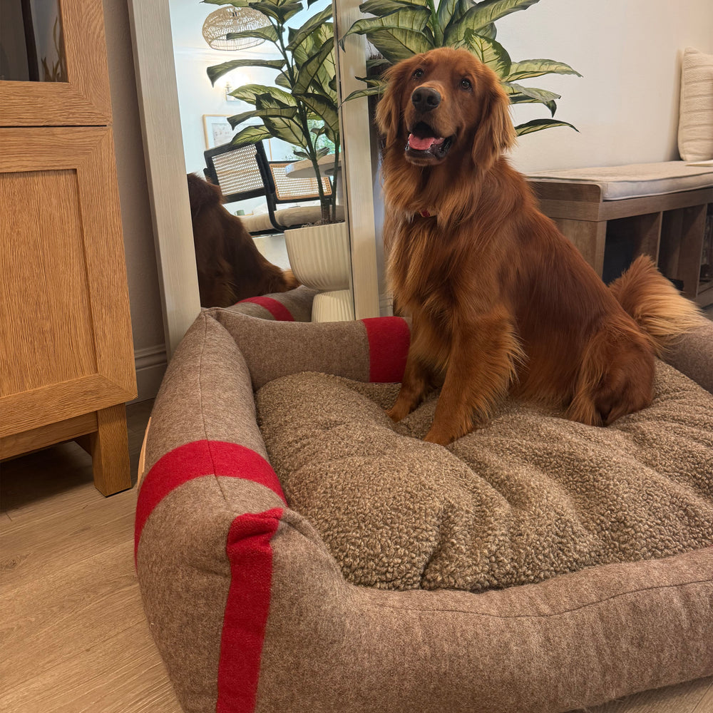 Henri Recycled Wool Dog Bed