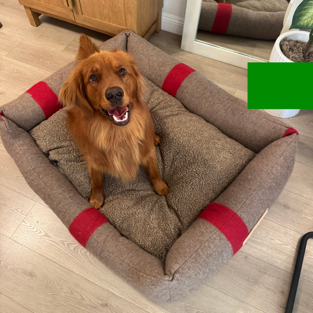Henri Recycled Wool Dog Bed