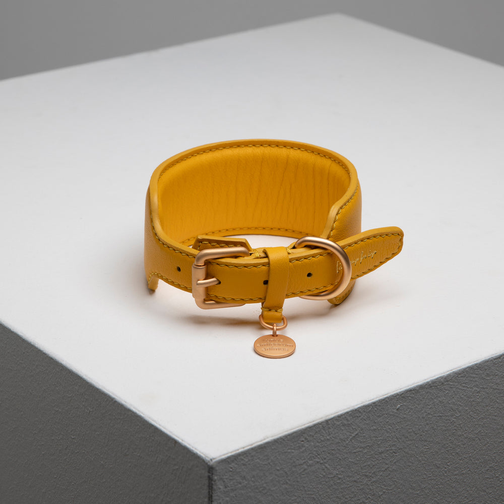 Mario Sighthound Collar