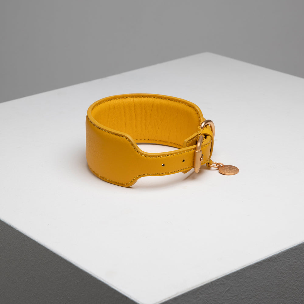 Mario Sighthound Collar