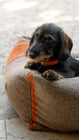 Henri Recycled Wool Dog Bed