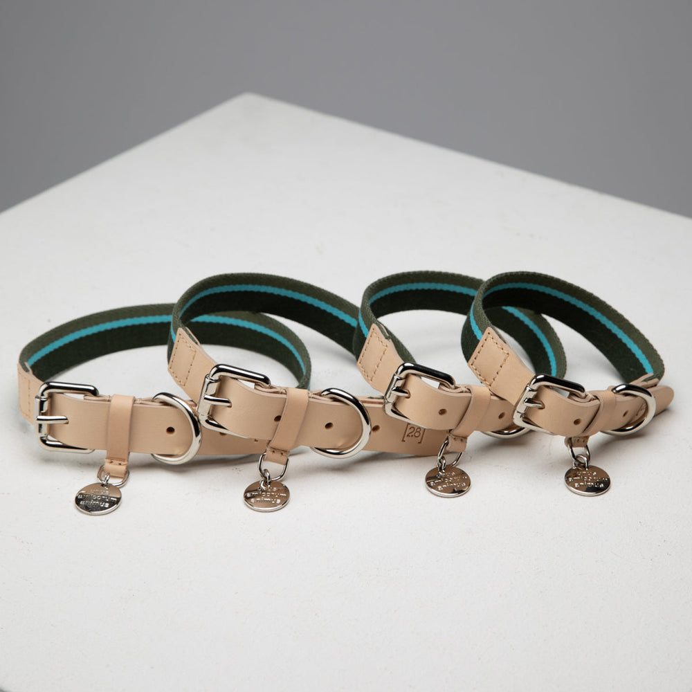 Franco Dog Collar