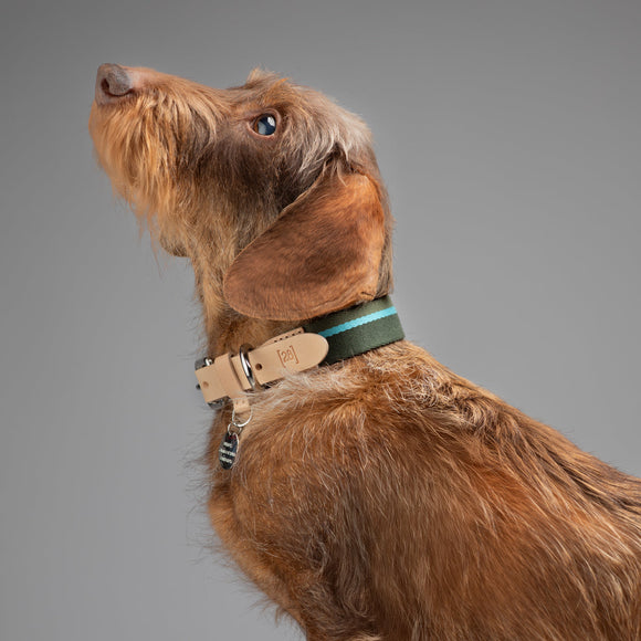 Franco Dog Collar