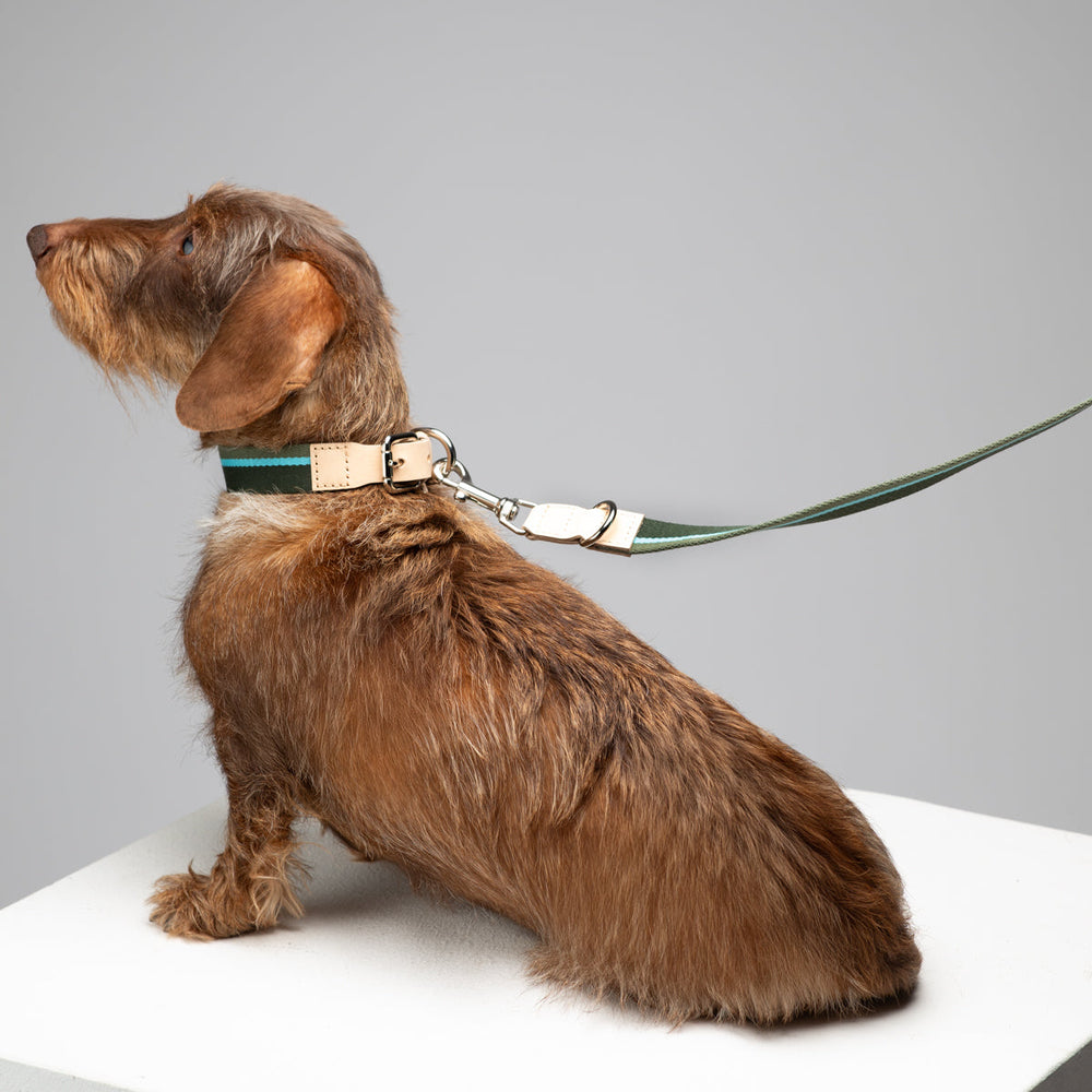 Franco Dog Collar