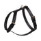 Gabriele Dog Harness  option Corvine Blue