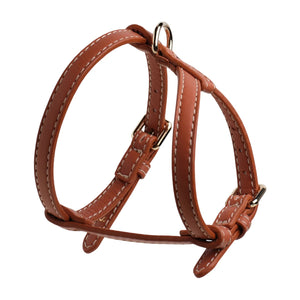 Gabriele Dog Harness
