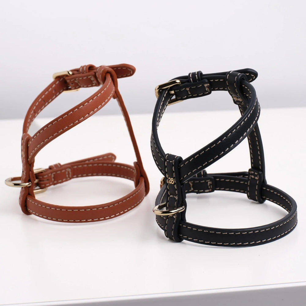 Gabriele Dog Harness