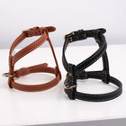 Gabriele Dog Harness