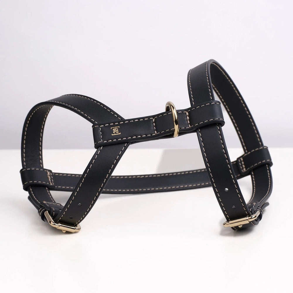 Gabriele Dog Harness