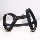 Gabriele Dog Harness