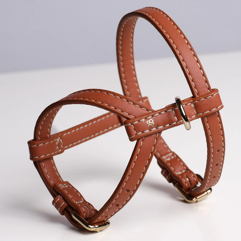Gabriele Dog Harness