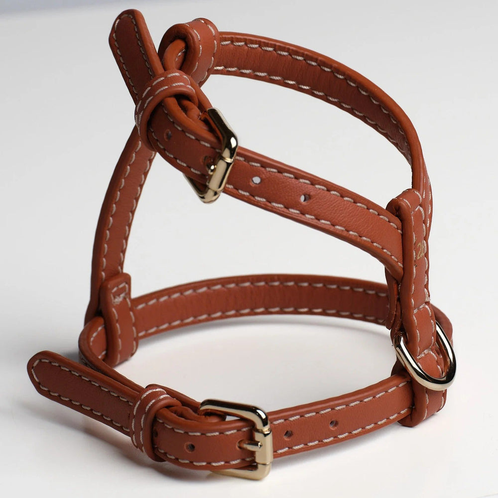 Gabriele Dog Harness