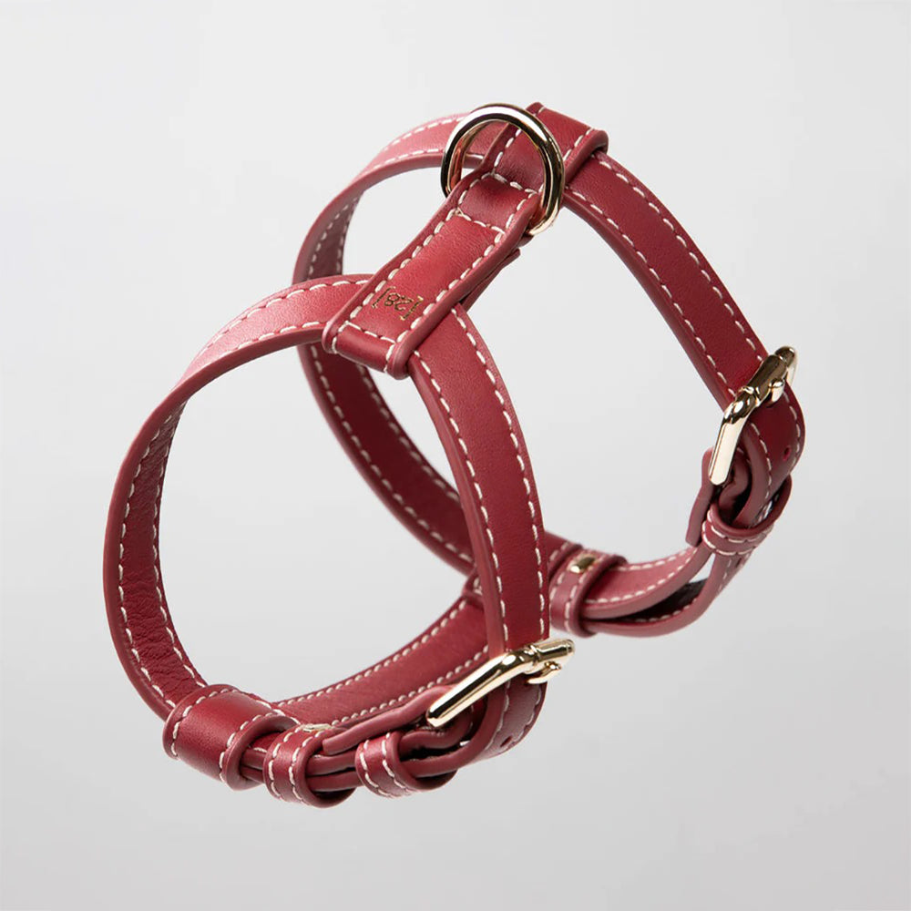 Gabriele Dog Harness