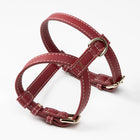 Gabriele Dog Harness