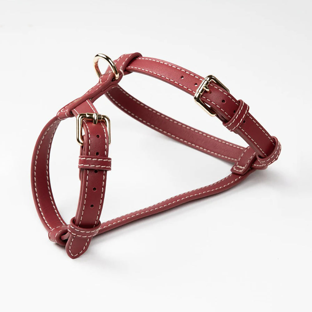 Gabriele Dog Harness