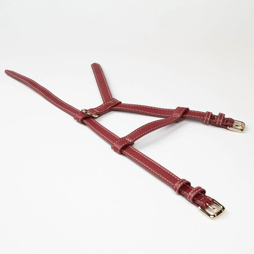 Gabriele Dog Harness