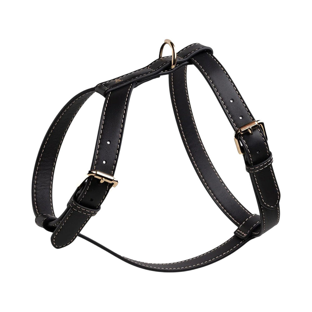 Gabriele Dog Harness