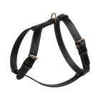 Gabriele Dog Harness
