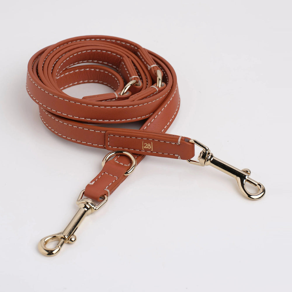 Gabriele Dog Leash