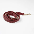 Gabriele Dog Leash