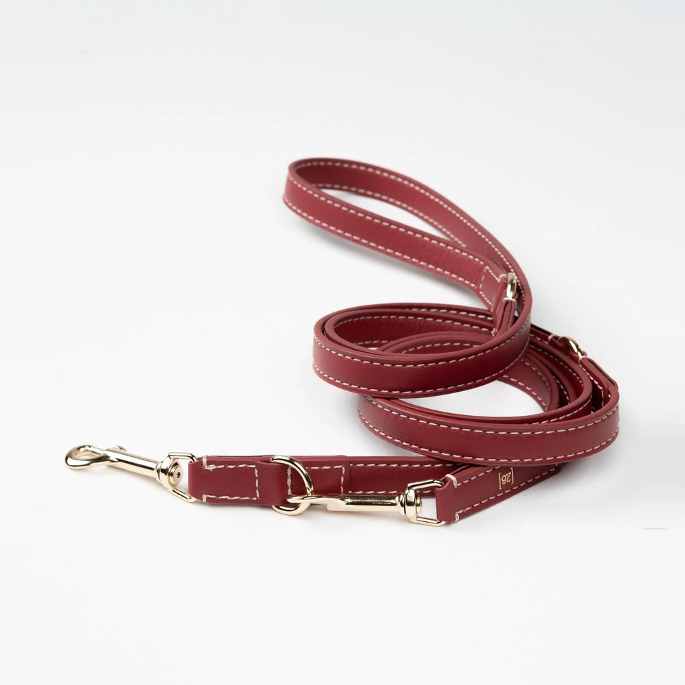 Gabriele Dog Leash