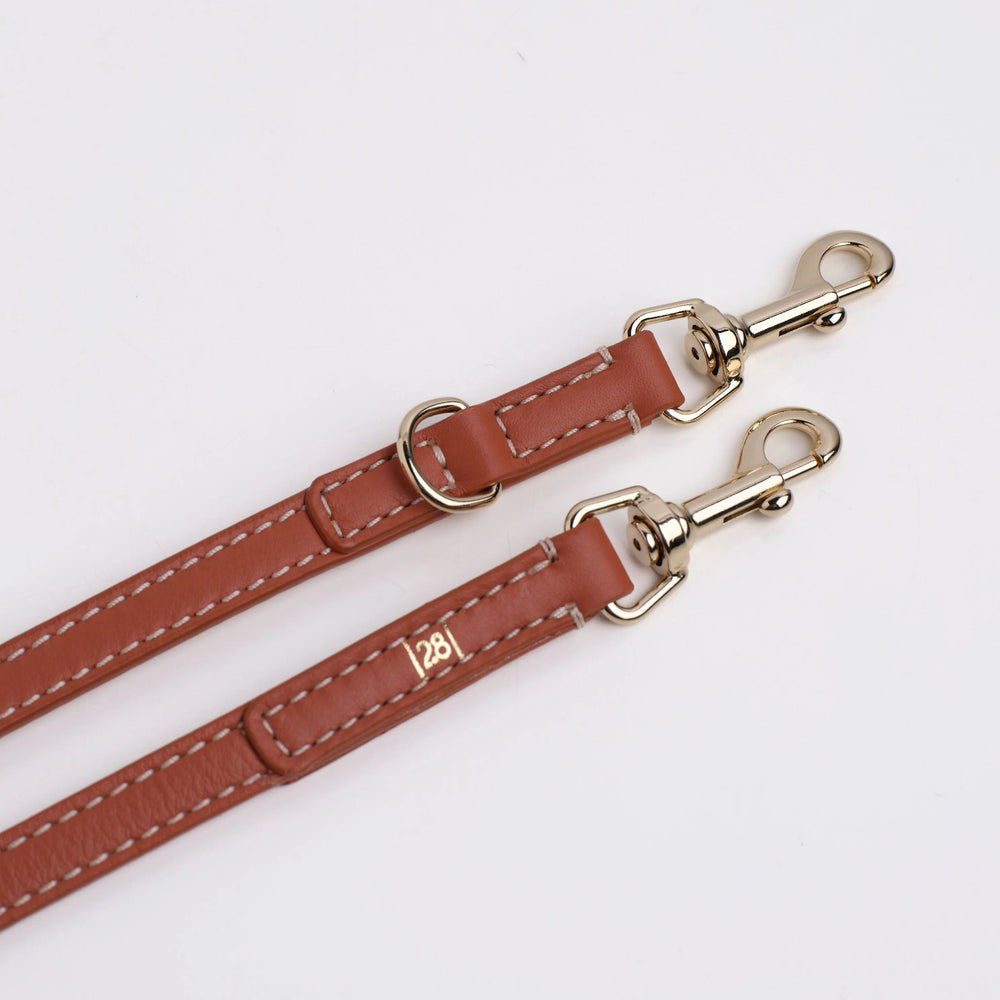 Gabriele Dog Leash