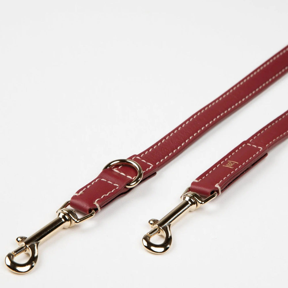 Gabriele Dog Leash