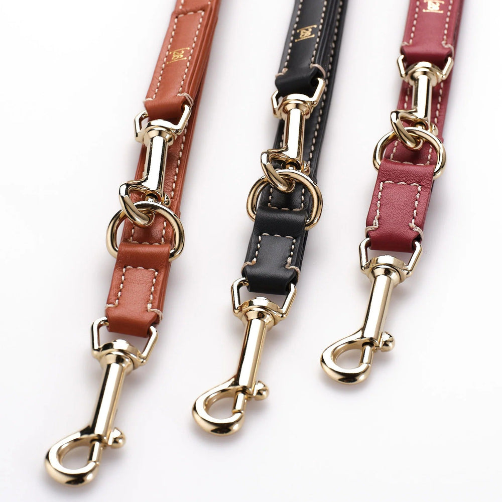 Gabriele Dog Leash