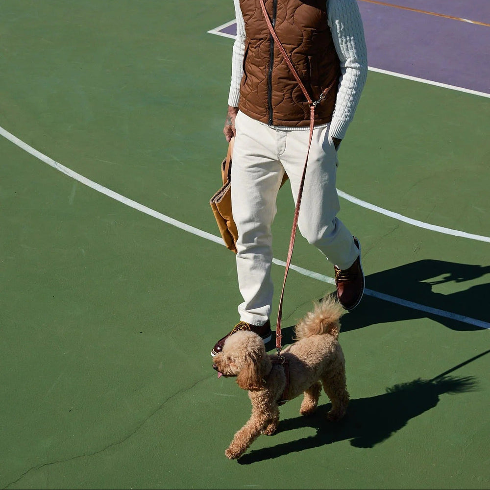 Gabriele Dog Leash