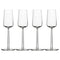 Essence Champagne Glass Set  option Set of 4