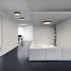 Duo Flush Mount