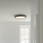 Duo Flush Mount