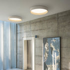 Duo Flush Mount