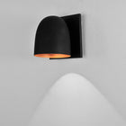 Speers LED Wall Light