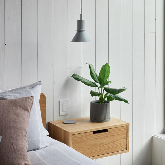 Type 80 Pendant Light