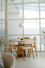 Bola Sphere Pendant Light