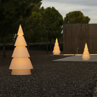 Forest Tree Light