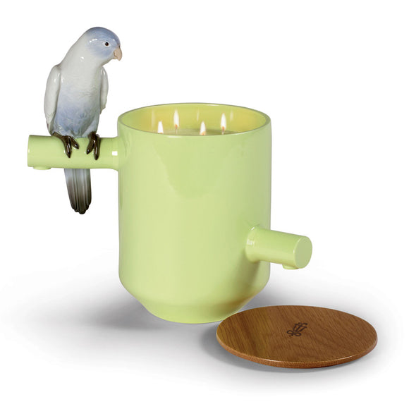 Parrot's Scented Treasure Candle