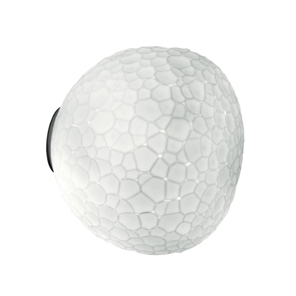 Meteorite Wall or Ceiling Light
