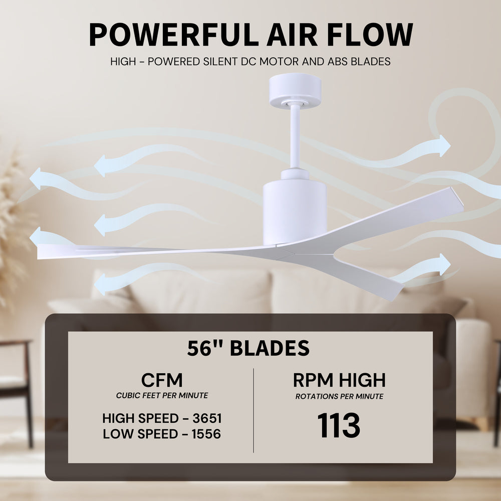 Molly Outdoor Ceiling Fan