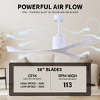 Molly Outdoor Ceiling Fan