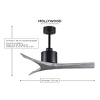 Mollywood Ceiling Fan