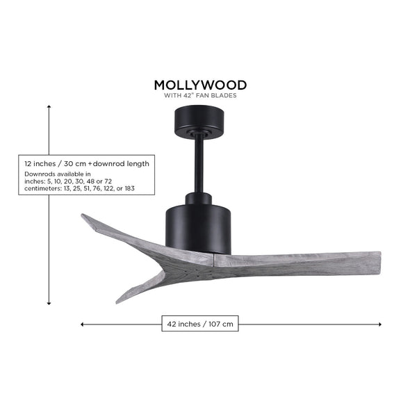 Mollywood Ceiling Fan