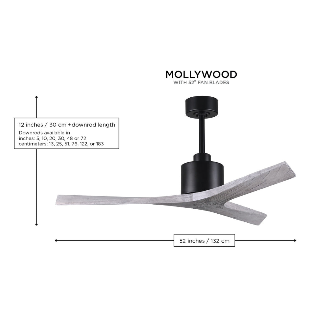 Mollywood Ceiling Fan