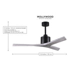 Mollywood Ceiling Fan