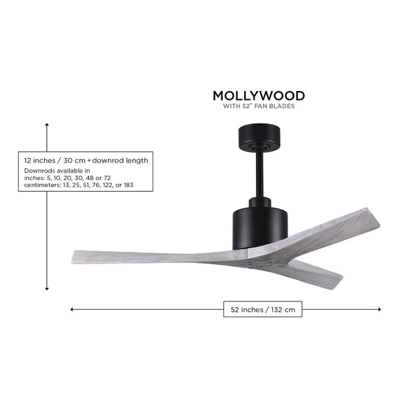 Mollywood Ceiling Fan