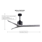 Mollywood Ceiling Fan