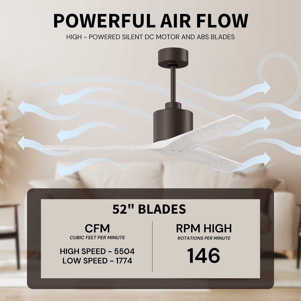 Mollywood Ceiling Fan